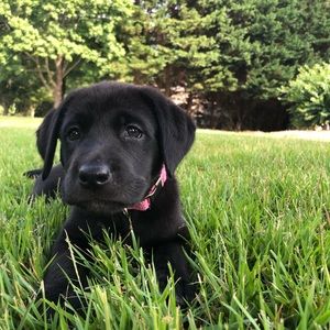 Meet your Posher, Cw